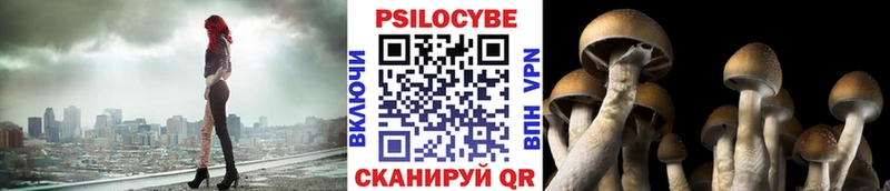 Галлюциногенные грибы Psilocybine cubensis Курск