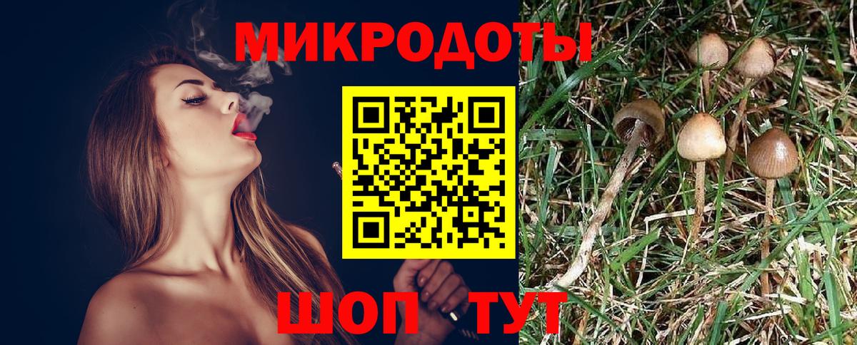 Псилоцибиновые грибы ЛСД Курск