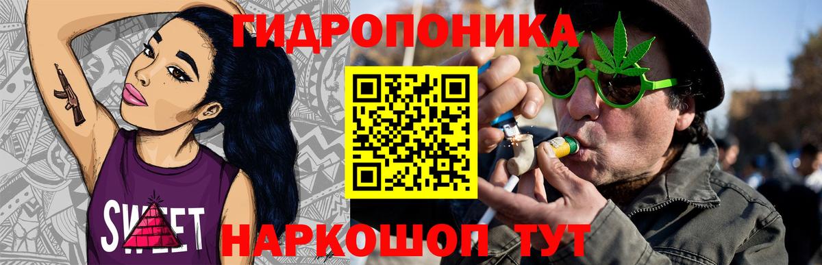 Конопля сатива Курск